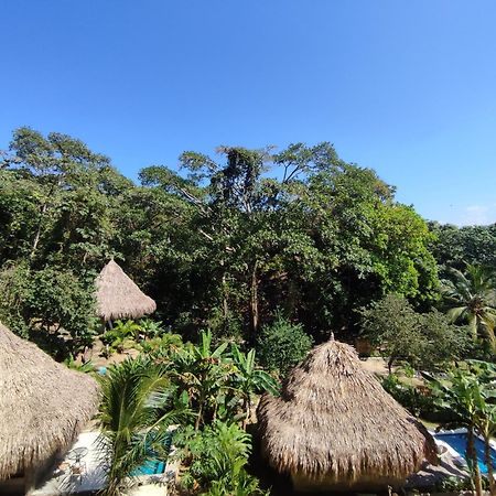 Bed and Breakfast Colibri Parque Tayrona Dentro Del Parque Nacional Tayrona Ель-Зайно Екстер'єр фото