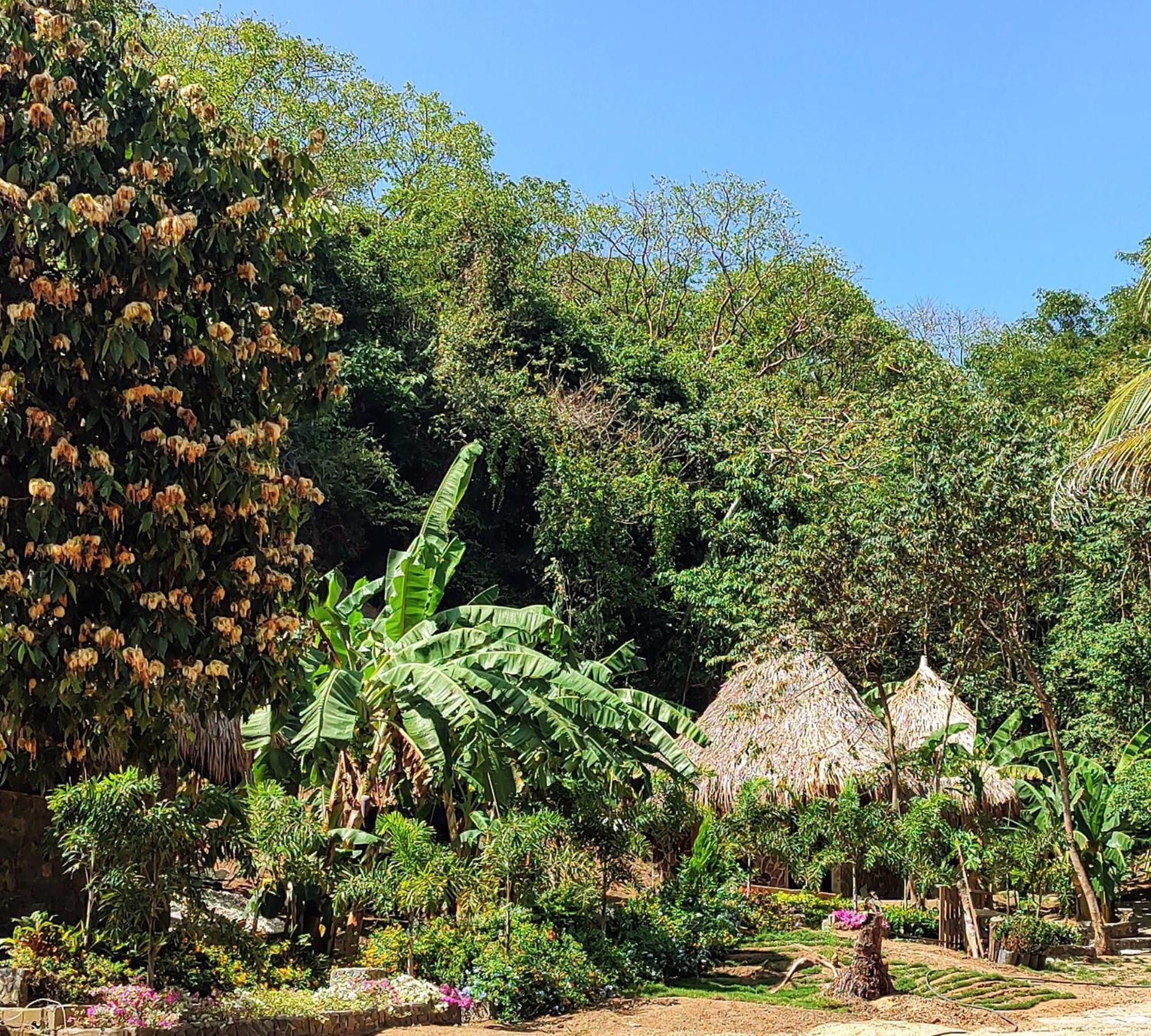 Bed and Breakfast Colibri Parque Tayrona Dentro Del Parque Nacional Tayrona Ель-Зайно Екстер'єр фото