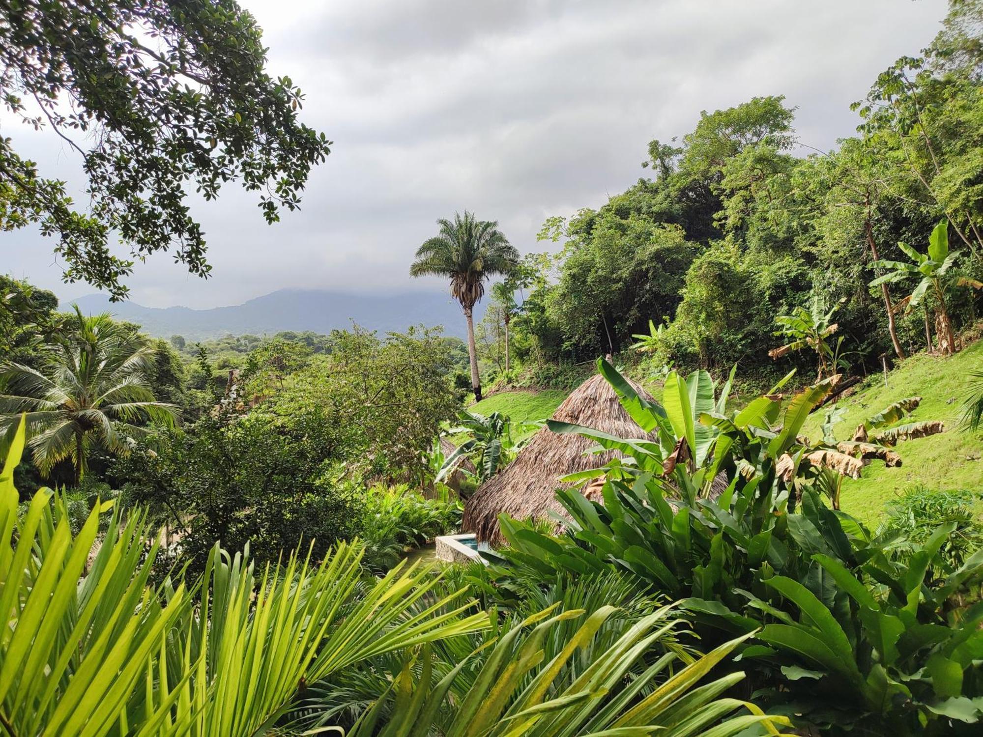 Bed and Breakfast Colibri Parque Tayrona Dentro Del Parque Nacional Tayrona Ель-Зайно Екстер'єр фото