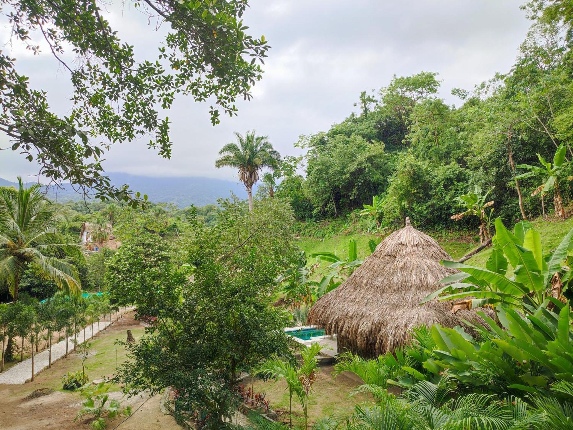 Bed and Breakfast Colibri Parque Tayrona Dentro Del Parque Nacional Tayrona Ель-Зайно Екстер'єр фото