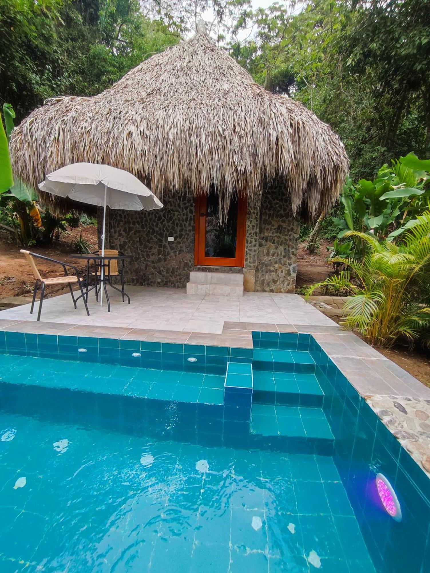 Bed and Breakfast Colibri Parque Tayrona Dentro Del Parque Nacional Tayrona Ель-Зайно Екстер'єр фото