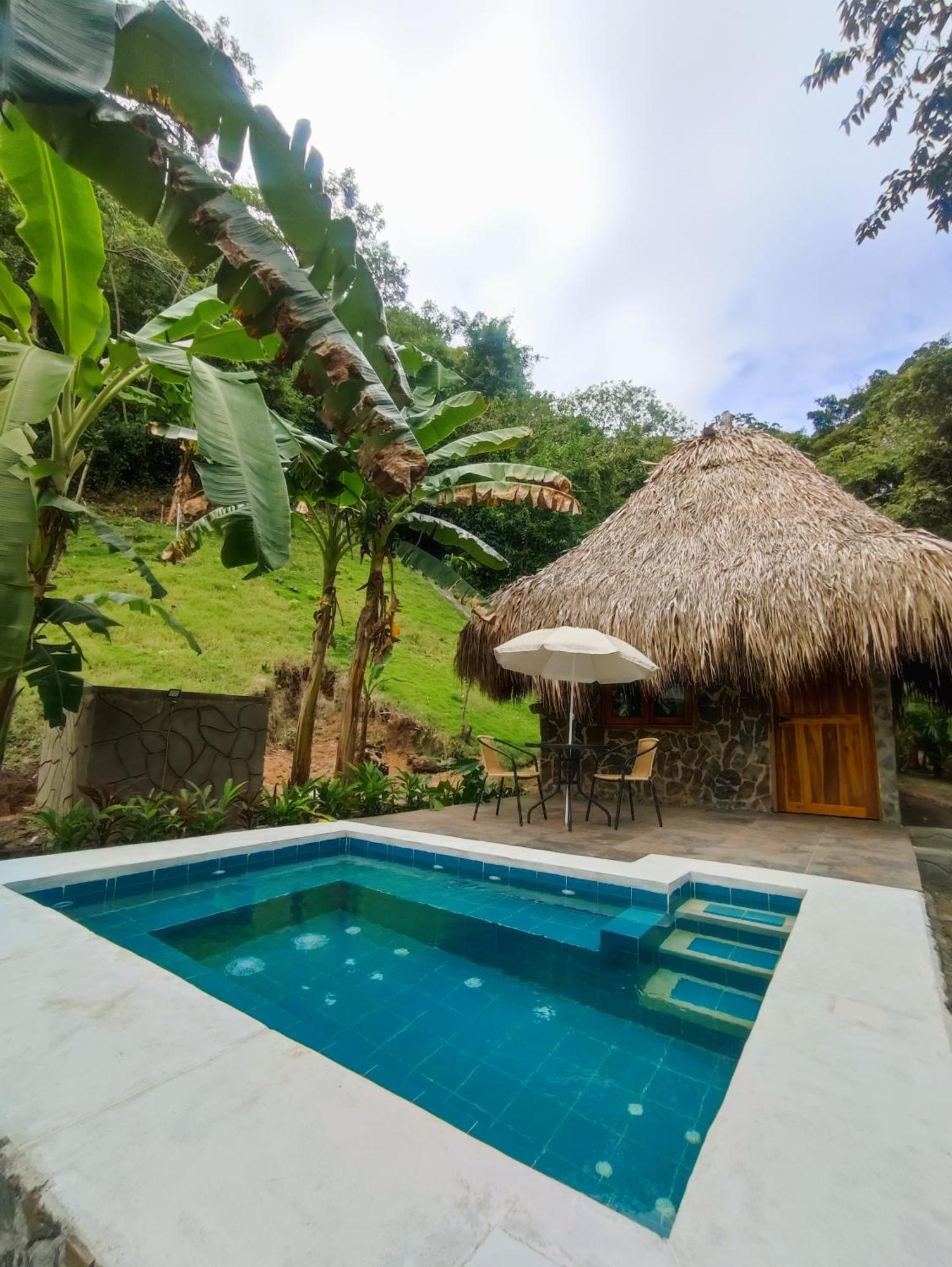 Bed and Breakfast Colibri Parque Tayrona Dentro Del Parque Nacional Tayrona Ель-Зайно Екстер'єр фото