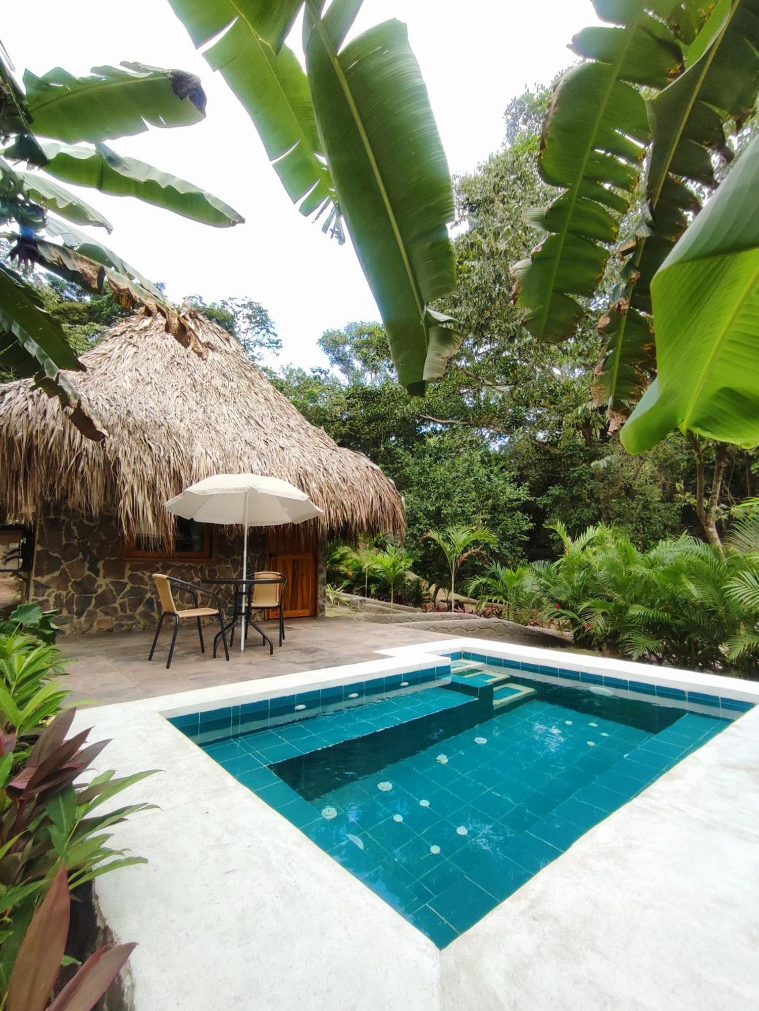 Bed and Breakfast Colibri Parque Tayrona Dentro Del Parque Nacional Tayrona Ель-Зайно Екстер'єр фото
