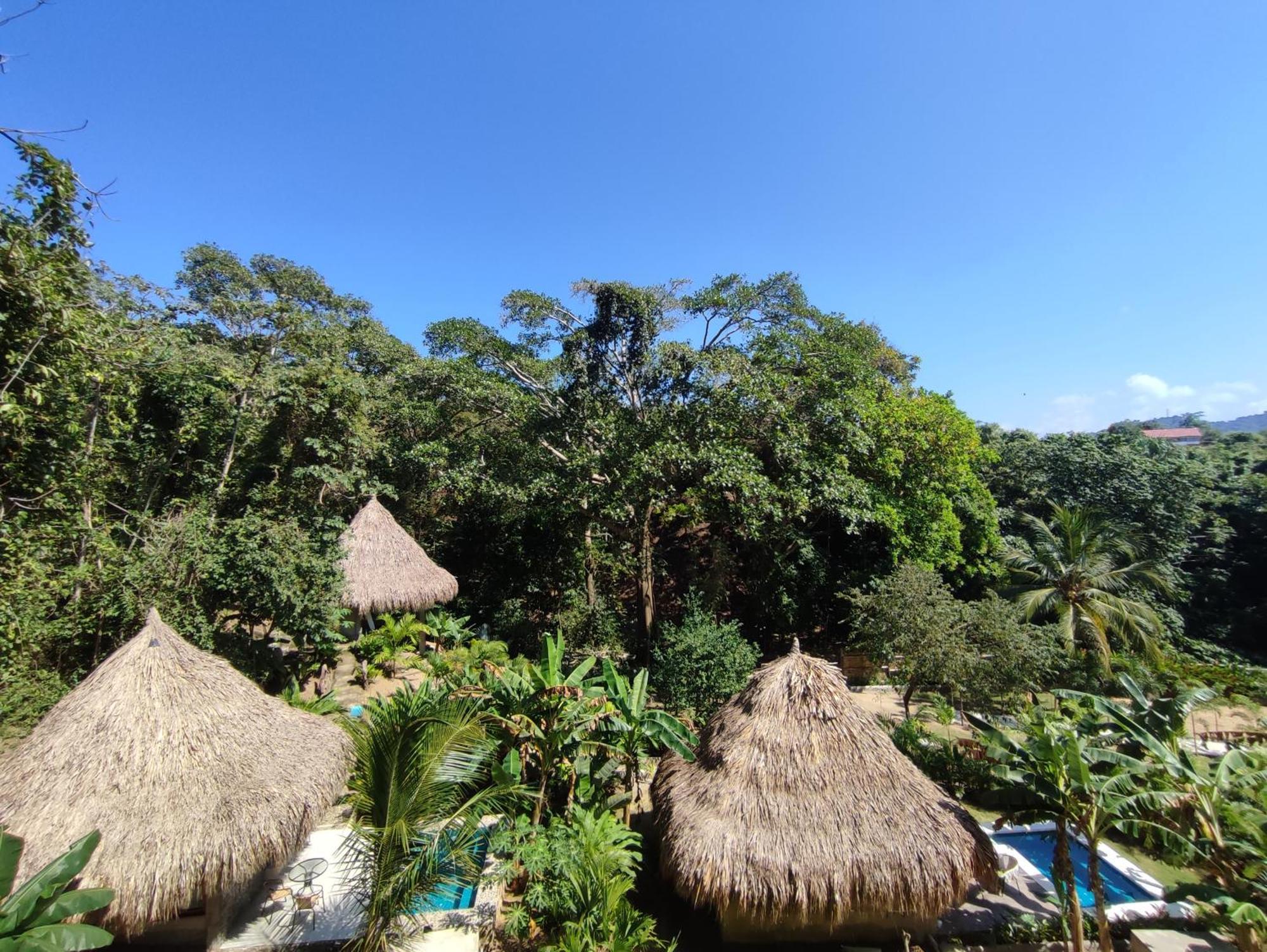 Bed and Breakfast Colibri Parque Tayrona Dentro Del Parque Nacional Tayrona Ель-Зайно Екстер'єр фото